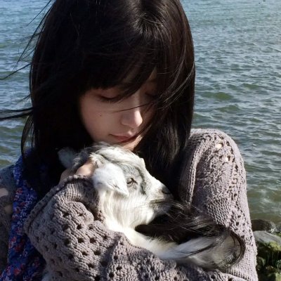 猎鹰的兄弟